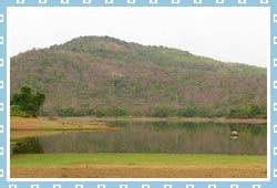 Tulsi Lake, Mumbai